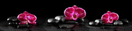 12 CE Hour Hot Stone Massage Workshop (Computer-Based Live Interactive Webinar)