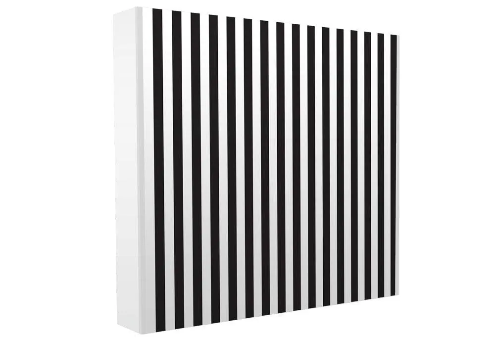 Black & White Backdrop