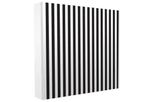 Black & White Backdrop
