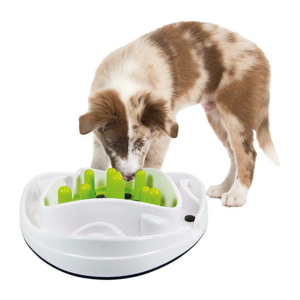 Dog Bowl Food Maze - Interactive Treat Feeder   Water Dish All For Paws Pet
