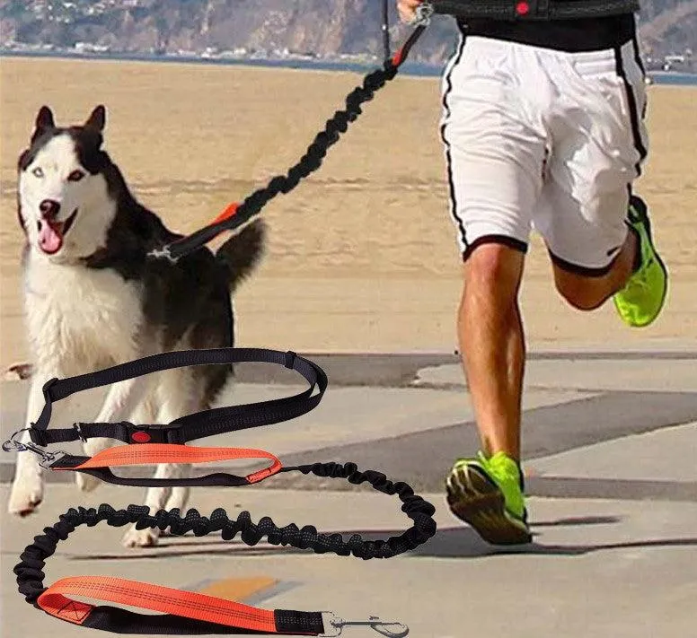 Elastic Dog's Leash with Waist Rope