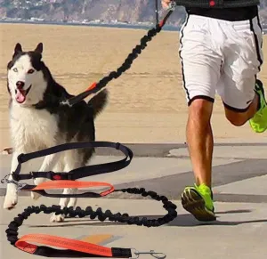 Elastic Dog's Leash with Waist Rope