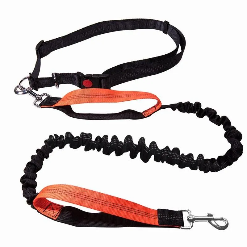 Elastic Dog's Leash with Waist Rope