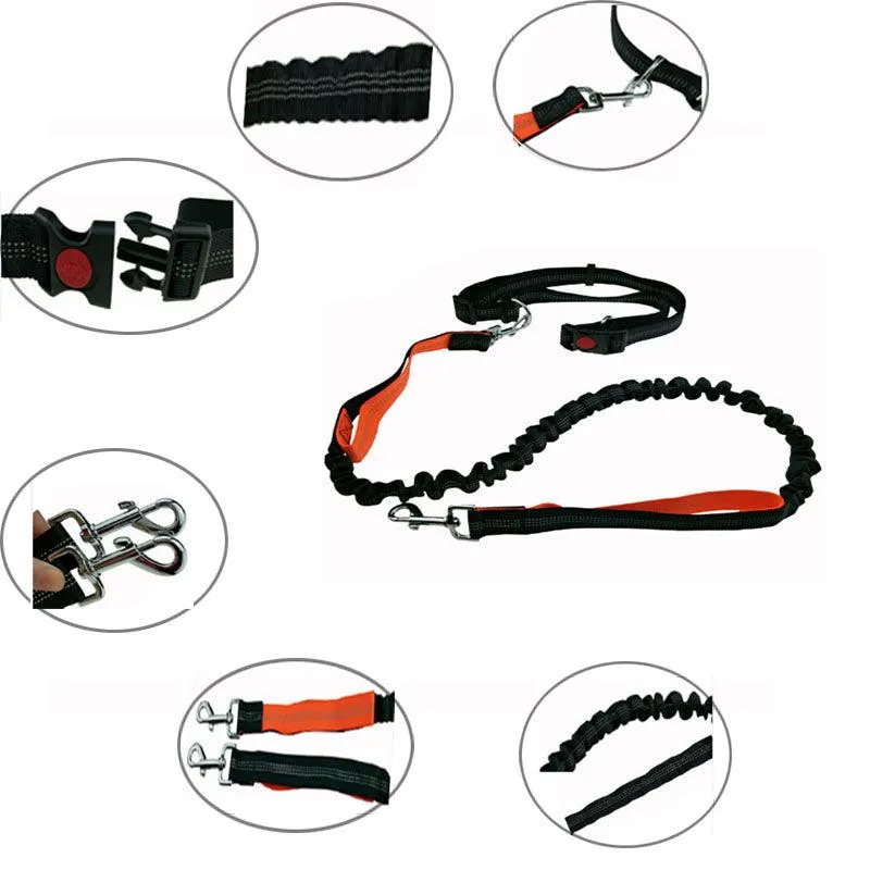 Elastic Dog's Leash with Waist Rope