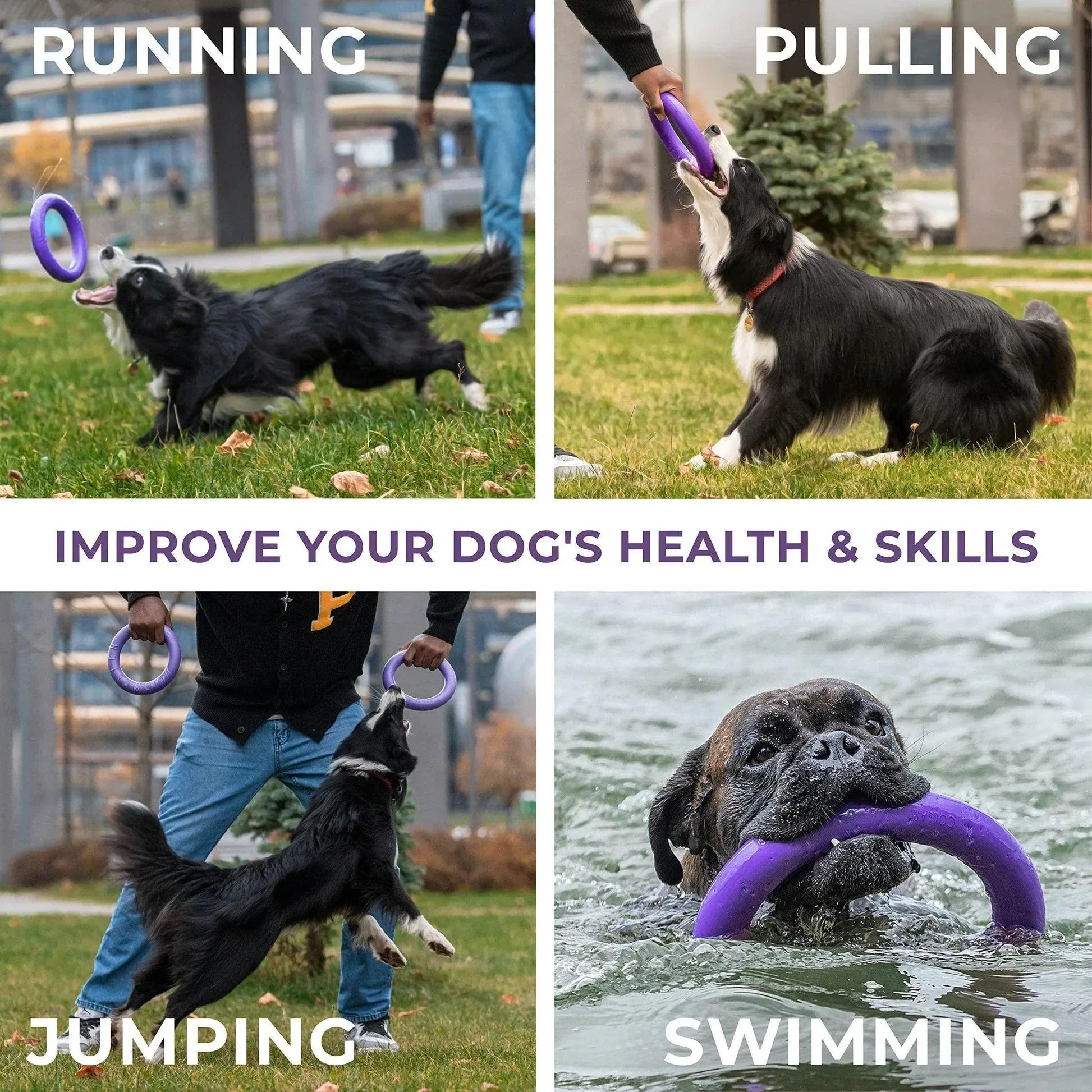 Puller Outdoor Dog Ring Toys Dog Fetch Toy & Tug of War Dog Toy for Small