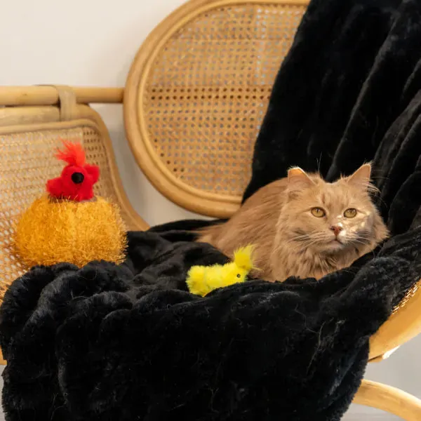 ZippyClaws Burrow Birds in Nest Cat Toy